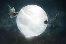 제나 할러웨이 사진전 전시 정보 :: 오픈갤러리 제나 할러웨이 사진전