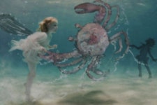 제나 할러웨이 사진전 전시 정보 :: 오픈갤러리 제나 할러웨이 사진전