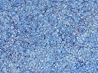 푸르름의 단면 전시 정보 :: 오픈갤러리 푸르름의 단면