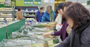 대파 875원이 크긴하노 - 중도정치 마이너 갤러리