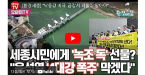 블라인드 | 금강 뉴스