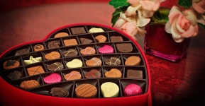 이마트24 - 기업정보 | 투자, 매출, 기업가치 - THE VC