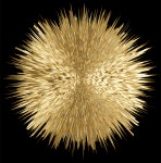 Clipart - Chromaburst 12