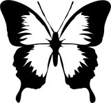 Clipart - Architetto -- Farfalla 02