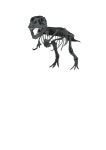 T-Rex Skeleton - Openclipart