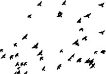 Flock Of Pigeons Silhouette - Openclipart