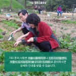 [카드뉴스] 함께서울 친환경농장 7,070구획 선착순 분양 > 카드뉴스 > 시민관심정보 > 시민소통 > 정보소통광장