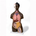 오픈메디칼 - 생활건강의료기기 종합몰 오픈메디칼