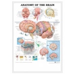 생활건강 의료기기 쇼핑몰 오픈메디칼 오픈메디칼