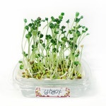 레드포인트 | 학교수업에 필요한 모든 것