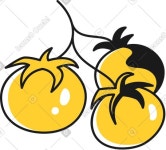 Yellow tomatoes clipart images in SVG, PNG, GIF