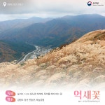 찬란한 가을이 내려앉은 곳 가을 꽃 명소 상세보기|문화 | 주토론토 대한민국 총영사관 주토론토 대한민국 총영사관 