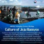of Jeju Haenyeo(women divers) 상세보기|UNESCO News | Permanent Delegation of the Republic of Korea to UNESCO Permanent... 