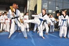 2024년 Taste of Planet 한국 세션 진행 상세보기|공관 소식 | 주세르비아 대한민국 대사관 주세르비아 대한민국 대사관 