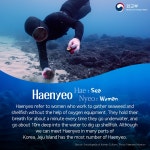 of Jeju Haenyeo(women divers) 상세보기|UNESCO News | Permanent Delegation of the Republic of Korea to UNESCO Permanent... 