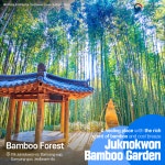 랜선으로 떠나는 여행 한국의 여름(Take a virtual trip and enjoy summer in Korea!) 상세보기|문화주토론토 대한민국 총영사관