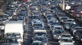 114076806 / 4K - 싱글 동영상