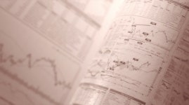 116174413 / 4K - 싱글 동영상