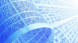 116174413 / 4K - 싱글 동영상