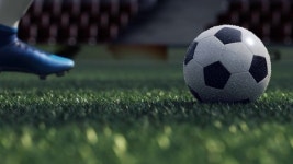 66860563 / 4K - 싱글 동영상