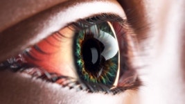 66860563 / 4K - 싱글 동영상