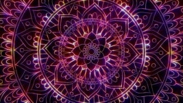 68115763 / HD - 싱글 동영상