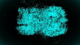 107643990 / HD - 싱글 동영상