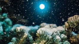 107643990 / HD - 싱글 동영상