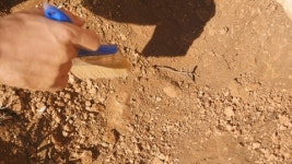 116524533 / 4K - 싱글 동영상