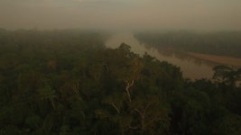 148986177 / HD - 싱글 동영상