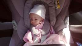 11808433 / HD - 싱글 동영상