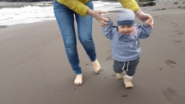 11808433 / HD - 싱글 동영상