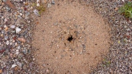 124936669 / HD - 싱글 동영상