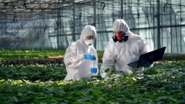 유토이미지 | 미디어샵 | 영상