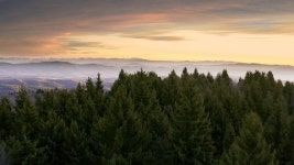 297323654 / 4K - 싱글 동영상