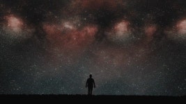 254573304 / 4K - 싱글 동영상