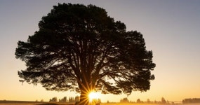 107643990 / HD - 싱글 동영상