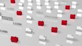 116588807 / 4K - 싱글 동영상