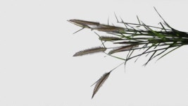 effect | 유토이미지 미디어샵 검색 결과