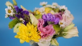 116524533 / 4K - 싱글 동영상