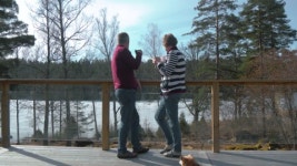 41794638 / HD - 싱글 동영상