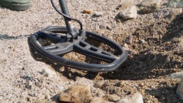 254535758 / 4K - 싱글 동영상