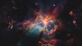 254573304 / 4K - 싱글 동영상