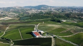 247469325 / 4K - 싱글 동영상