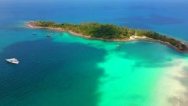 264795231 / 4K - 싱글 동영상