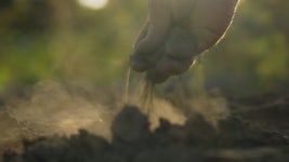 262367854 / 4K - 싱글 동영상