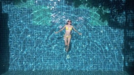 264795231 / 4K - 싱글 동영상