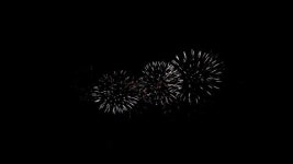 fireworks | 유토이미지 미디어샵 검색 결과