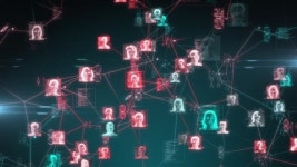 116588807 / 4K - 싱글 동영상