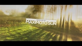 262350497 / ZIP - 싱글 애프터이펙트